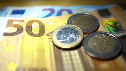 What factors determines the euro exchange rate